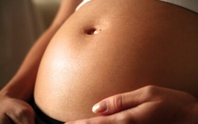 No surrogate pregnancies for infertile single parents